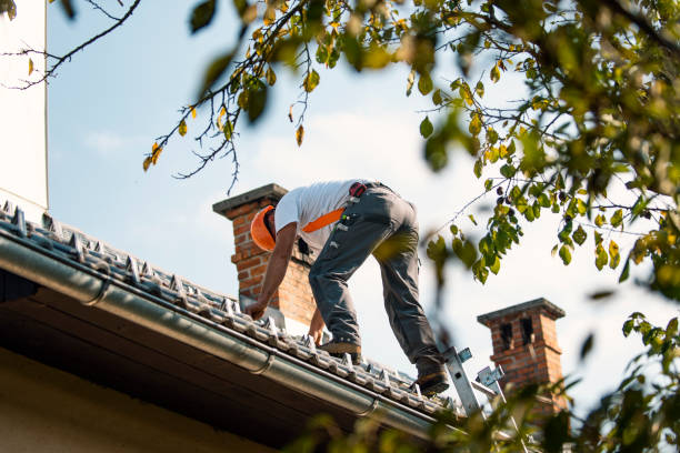 Best Roof Moss and Algae Removal  in Rotan, TX