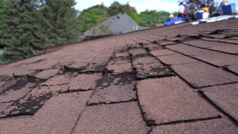Best Gutter Installation and Repair  in Rotan, TX