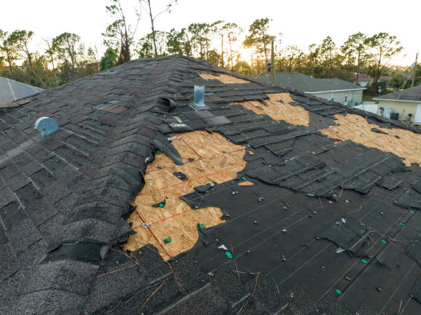 Best Solar Panel Roofing Installation  in Rotan, TX